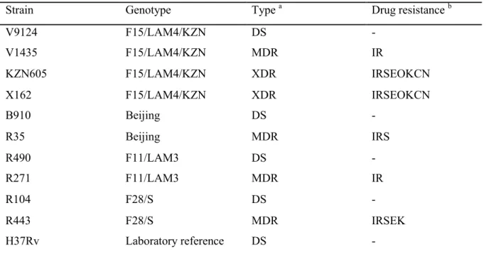 Table 4.1 M. tuberculosis strain profiles 