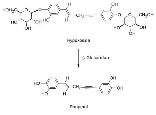 Figure 1.2: Conversion of hypoxoside into rooperol. 