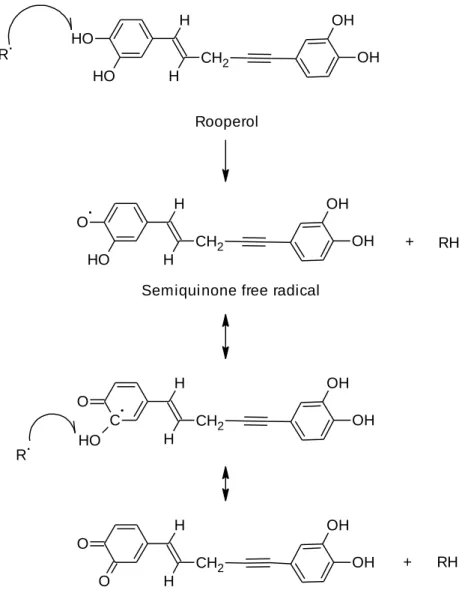 Figure 1.3: Rooperol acting as an anti-oxidant. 