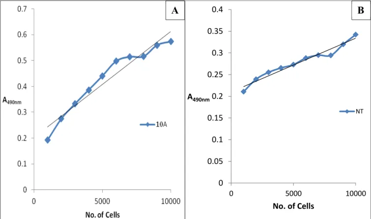 Figure 3.2: The calibration curves for MCF10A (A) and MCF10-NeoT (B) optimization  for the MTS Assay