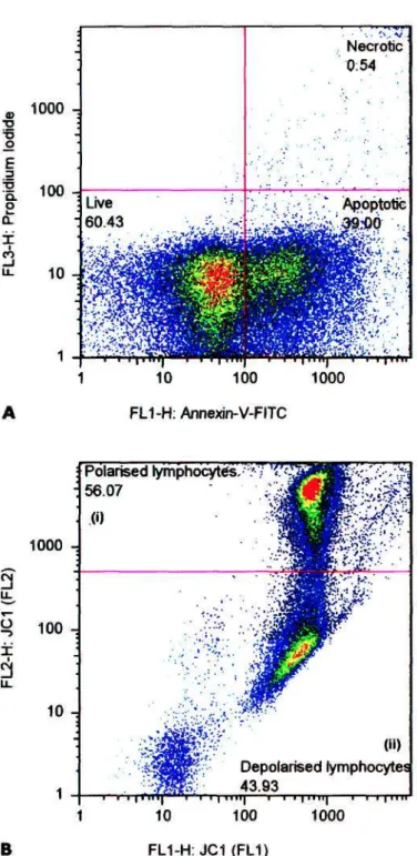 FIGURE 1. Flow cytometric scatter plots of HIV-1-infected  patient lymphocytes stained with (A) Annexin-V-FLUOS and  (B) )C-1 dye