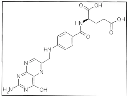 Figure 2.1: chemical structure of folic acid