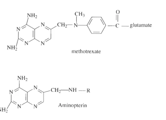 Figure 2.5 Chemical structures of aminopterin and methotrexate (McGilvery, 1970).