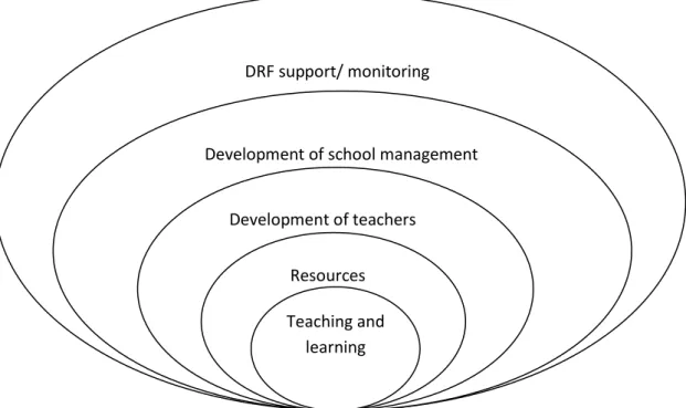 Figure 2: DRF approach to whole school improvement 