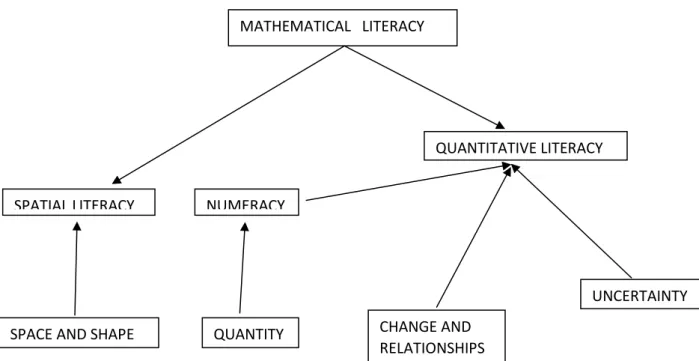 Figure 2.1 de Lange’s understanding of mathematical literacy 
