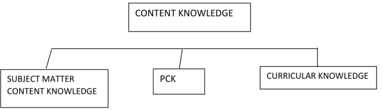 Figure 2.3.2 Shulman’s component of knowledge 