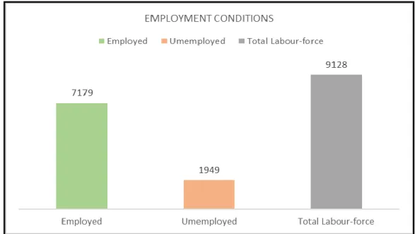 Graph 3:  Employment Conditions in Albert Park 