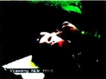 Fig 4: Omnipresence; video screen view from the Gering Gallery, New York (www.googleimages.co.za) 