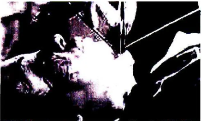 Fig. 5 Omnipresence: the second mouth (www.google.co.za) 