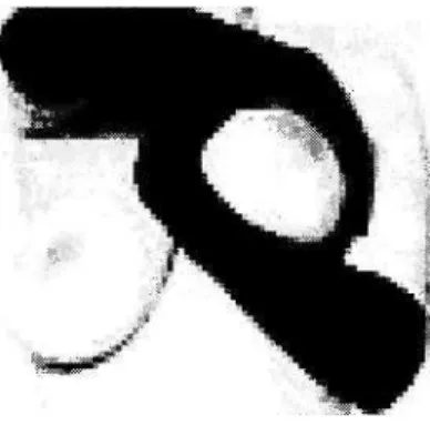 Fig 20: From Bosom Ballet (www.google.co.za) 