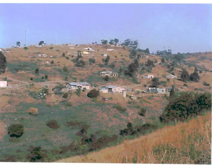 Figure 2: Picture showing low densities of peri-urban settlements in Buffelsdraai