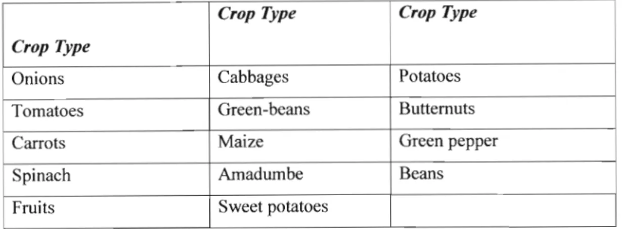 Table 3.3: Crop preference types in Etafuleni (Maseko-Hlongwa and Associates, 2003) Crop Type Crop Type