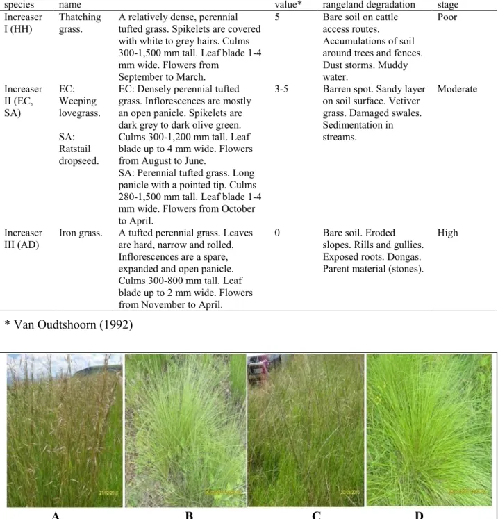 Rangeland degradation assessment using remote sensing and vegetation ...