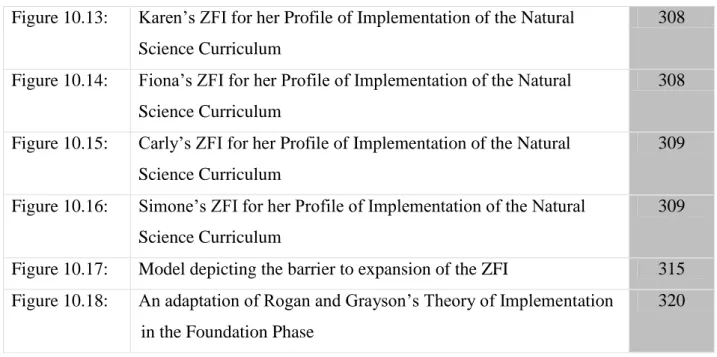 Figure 10.13:   Karen’s ZFI for her Profile of Implementation of the Natural  Science Curriculum 
