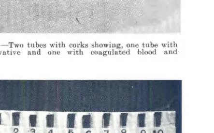 Fig.  2.-Apron  containing  ten  tubes  and  showing  numbers. 