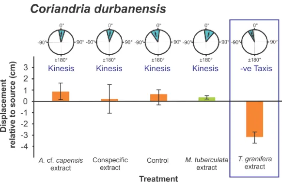 Figure 5. Coriandria durbanensis orientation and movement responses to different  278 