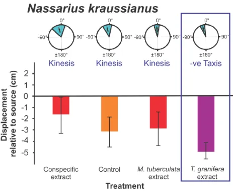 Figure 10. Nassarius kraussianus orientation and movement responses to different  294 