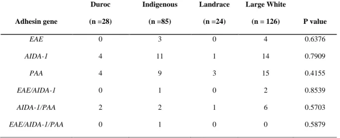 Table 4.3: The distribution of adhesin factors among the four breeds 