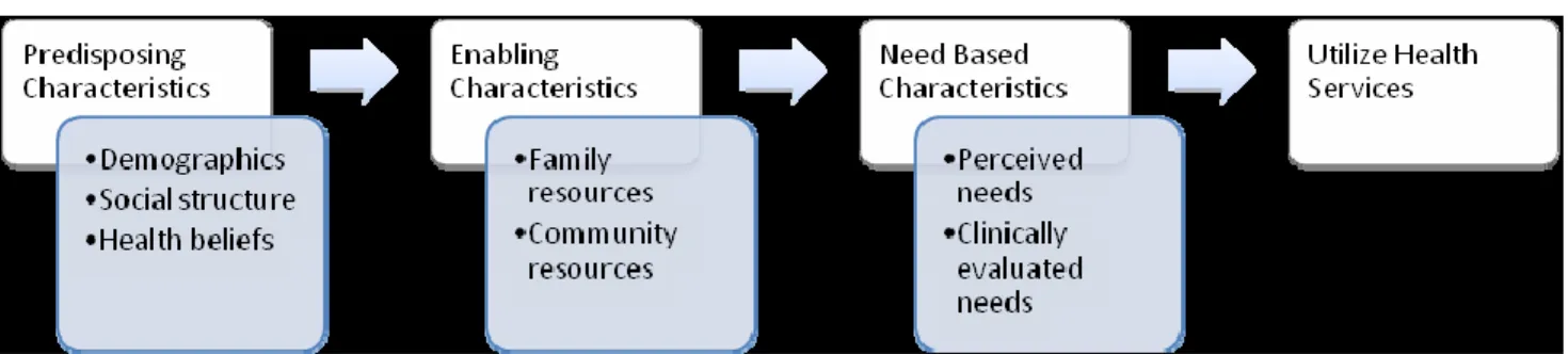 Figure 2.3 Expanded health utilization model (Meyer-Weitz et al., 2000) 