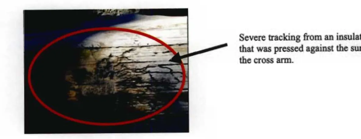 Figure 3 - 4: Tracking gets more severe and starts to ignite the wood surface.