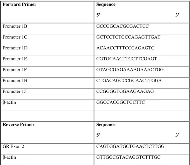 Table 2.1: Primer sequences of the various promoter regions in GR and β-actin (Alt et al., 2010) 