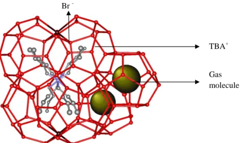 Figure  2-6:  Structure  of  tetrabutyl  ammonium  bromide  (TBAB)  semi-clathrate  hydrate