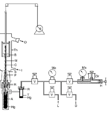 Figure  4-3:  Schematic  representation  of  Cailletet  apparatus  (extracted  from  Raeissi,  2004)