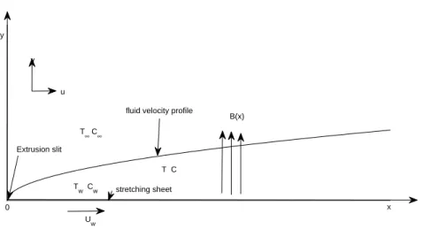 Figure 3.1: Schematic diagram showing the exponentially stretching sheet