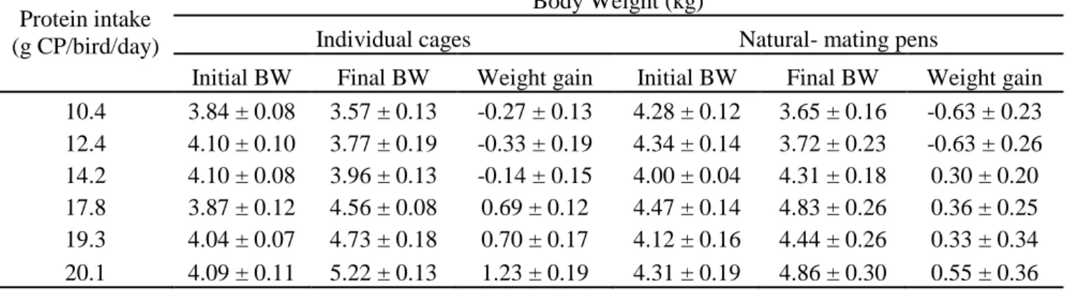 Table  5. Initial,  final  and  body  weight  (BW)  gains  (±  s.e.m)  of  males receiving  different  crude  protein intakes (g CP/bird/day) in individual cages and natural mating pens