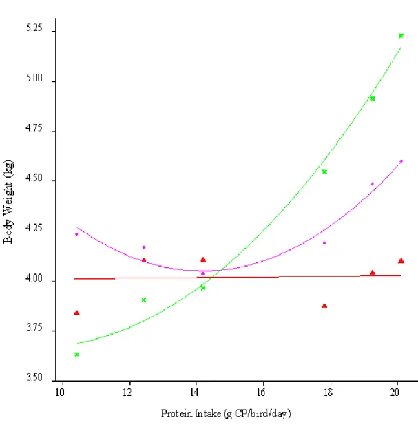 Figure  1.  The  mean  body  weight  (kg)  of  birds  in  individual  cages  used  for  AI,  in  response  to  dietary protein intake (g CP/bird/day) during the production cycle at 31 ( ), 45 ( ) and 59 ( )  weeks 