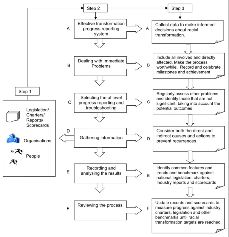 Figure 2: Guidelines for effective racial transformation 