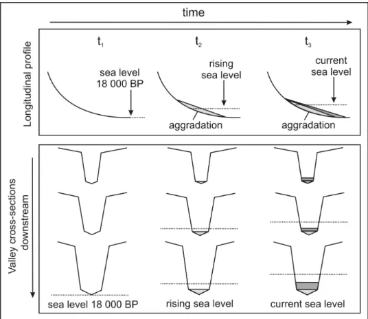 Figure 15: Conceptual model of wetland origin and evolution due to sea level change. 