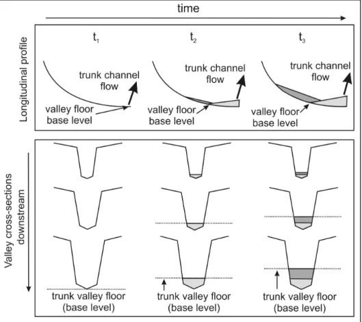 Figure 16: Conceptual model of the origin and evolution of a tributary stream wetland  formed by sedimentation in the trunk channel