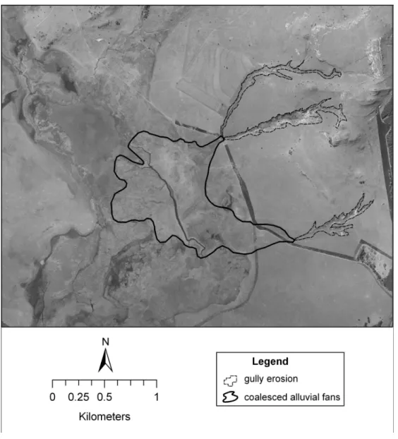 Figure  17:  Sediment  deposited  by  tributaries  of  Blood  River  Vlei  creates  a  prominent  feature in which a channel has formed