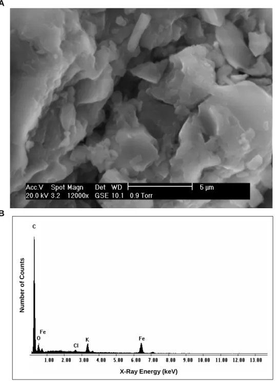 Figure 2.4.  Scanning  electron  micrograph  of  haematin  and  the  corresponding  X-ray  spectrum