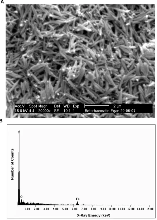Figure 2.5.  Scanning electron micrograph of  ββββ -haematin synthesized according to the  method  of  Egan  et  al