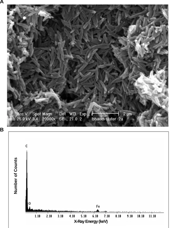 Figure 2.6.  Scanning electron micrograph of  ββββ -haematin synthesized according to the  method  of  Slater  et  al