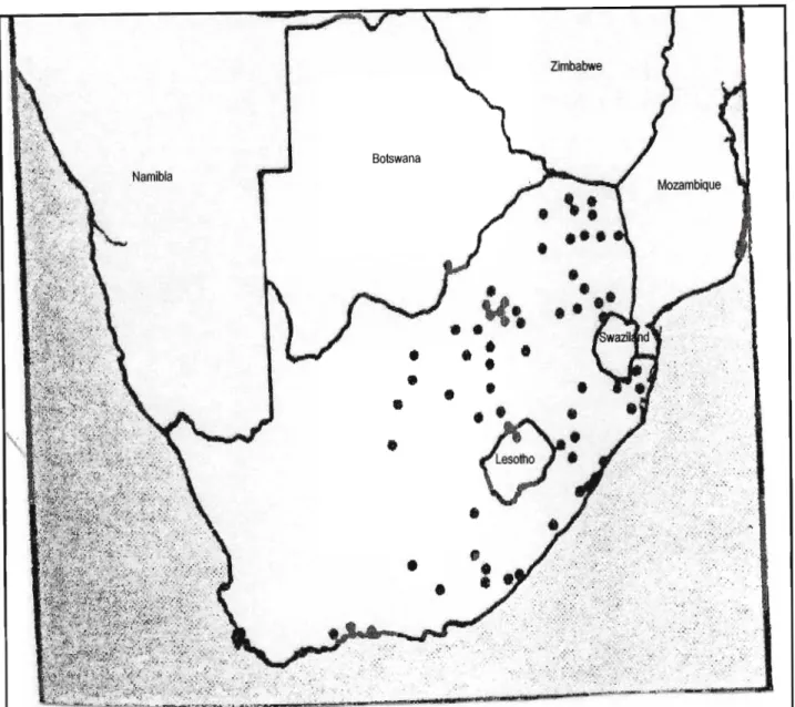 Figure 4: Distribution of Celtis africana in southern Africa (Killick et al., 1973).