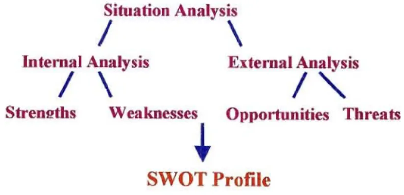 Figure 2.9 - Situation Analysis (Ambrossini, 1998).