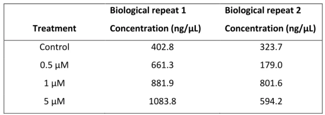 Table 5.1.  Concentration of  RNA isolated from DMS 79 cells. Following treatment  of the DMS 79 cells  with varying concentrations of 5-aza for 72 h, RNA was extracted from the cells using the RNeasy Mini  Kit at P24 and P30