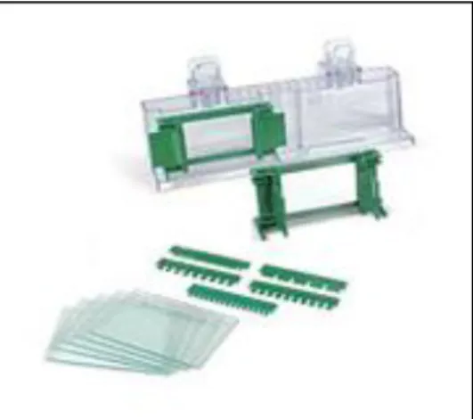 Figure 2.3. Equipment used in acrylamide gel assembly. The casting frame (green), casting stand (clear),  combs and glass plates for 1.5 mm thick gels are presented