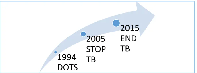 Figure 2: Progression of WHO global TB strategies (27) 