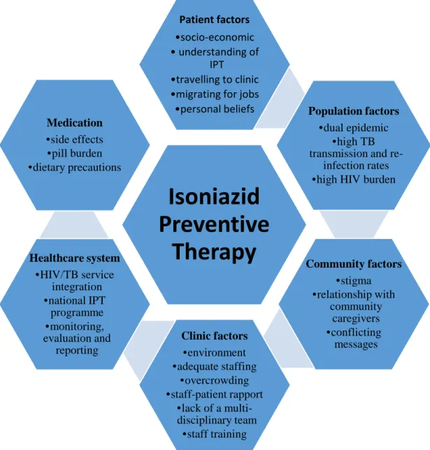 Figure 4: Conceptual Framework: Factors influencing IPT 