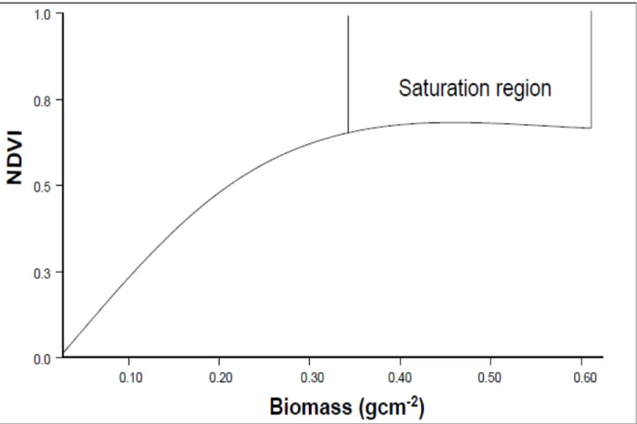 Figure 1.2. Relationship between NDVI and biomass. The saturation level is usually reached at  about 0.3 g cm  –2  (Mutanga, 2004)