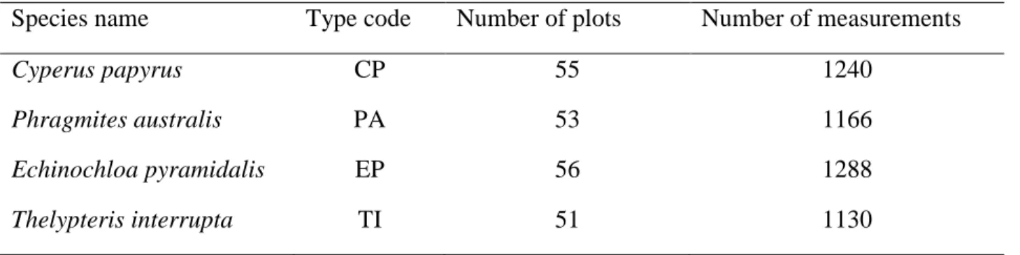 Table 4.1:  The number of sample plots and the total number of spectral measurements collected  for papyrus and its associated species 