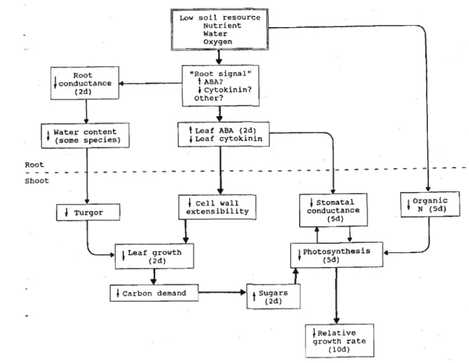 Fig. 1.2 A simplistic view of the proposed cause-and-effect network linking a limited resource (in this case N) with slow growth (Chapin, 1991).