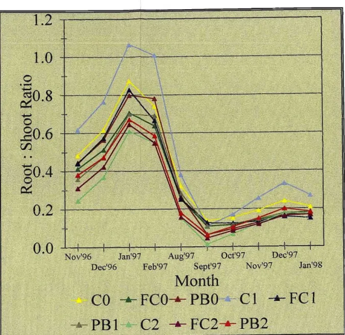 Table 3.4 Mean Root : Shoot Ratio. Values are means of 8 trees over ten months of coincidental root and shoot growth
