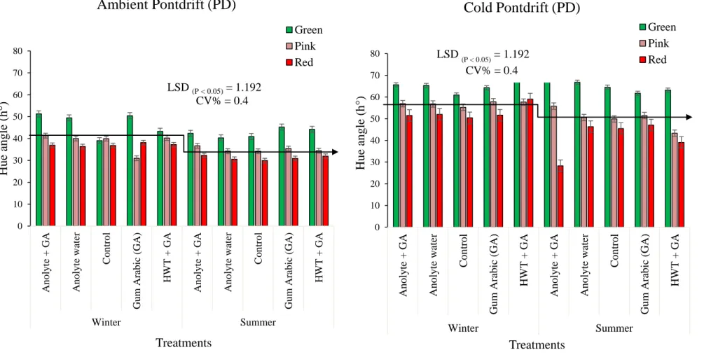 Figure 4.4 The effect of pre-storage treatments and storage conditions on the colour (hue angle) of tomatoes of different maturity stages from    Pontdrift region  