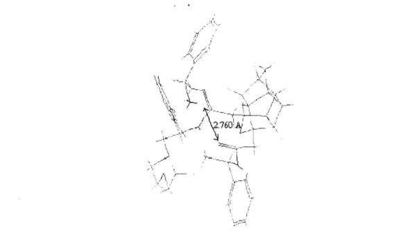 Figure 5: Structural conformation of the most stable complex formed between macrocy- macrocy-cle (R)-57 and guest (S)-a-methylbenzylamine