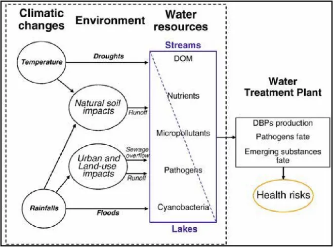 Figure 2.5  Potential  impacts  of  climate  change  on  water  resources  and  drinking  water  quality (Delpla et al., 2009)  